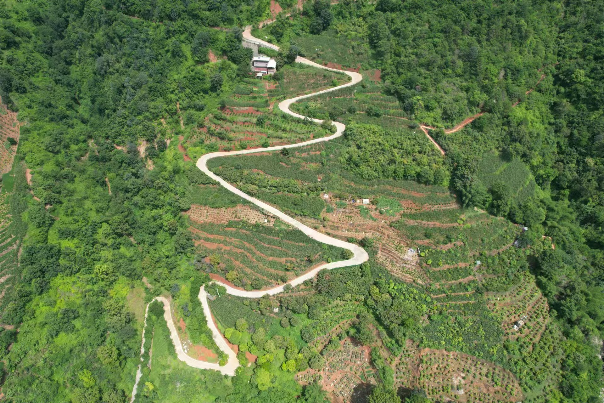 四川2000米山地滑车线路勘测设计中，2025最火项目