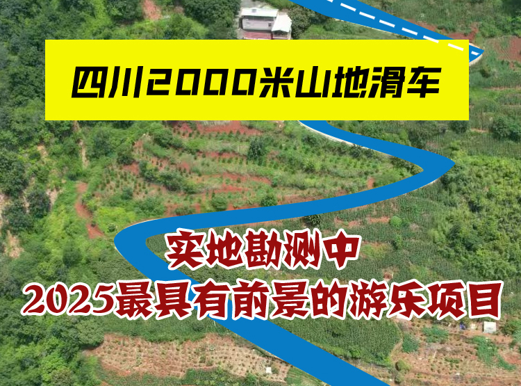 2025景区最火网红项目山地滑车，它来啦