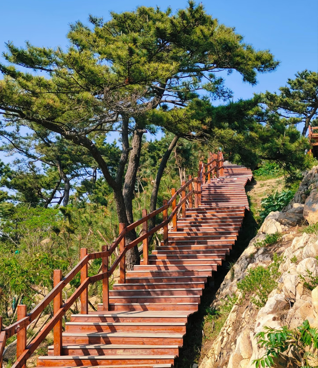 防腐木栈道、步道(图1)